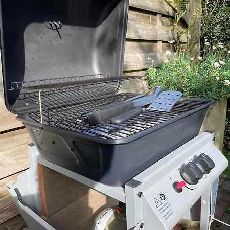 Stroenlooper Lejlighed Vesterland